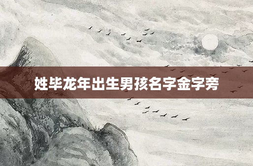 姓毕龙年出生男孩名字金字旁
