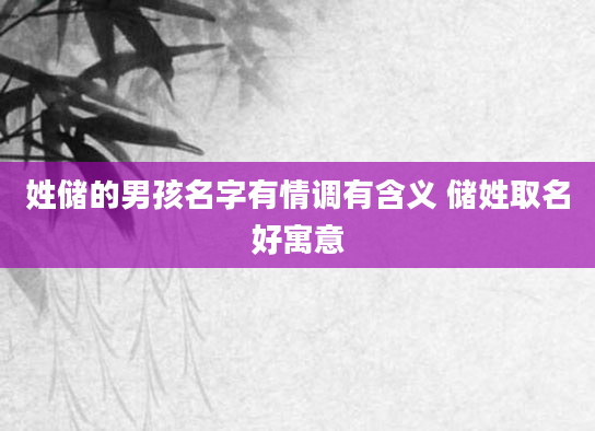 姓储的男孩名字有情调有含义 储姓取名好寓意