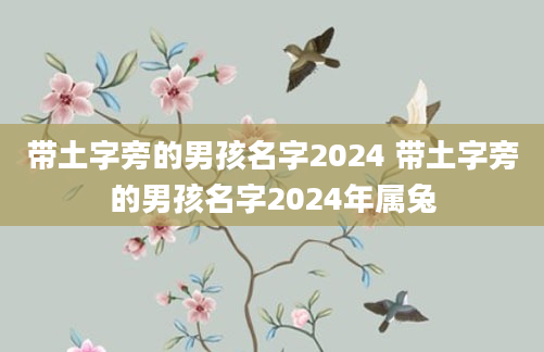 带土字旁的男孩名字2024 带土字旁的男孩名字2024年属兔