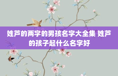 姓芦的两字的男孩名字大全集 姓芦的孩子起什么名字好