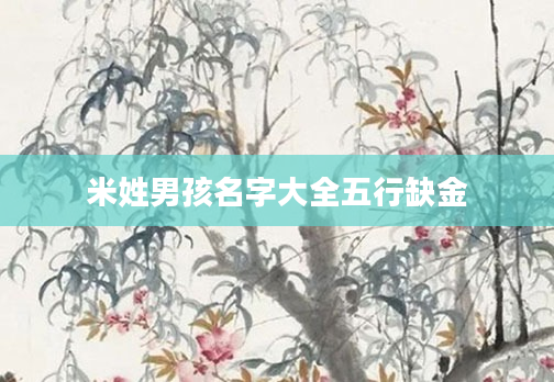 米姓男孩名字大全五行缺金