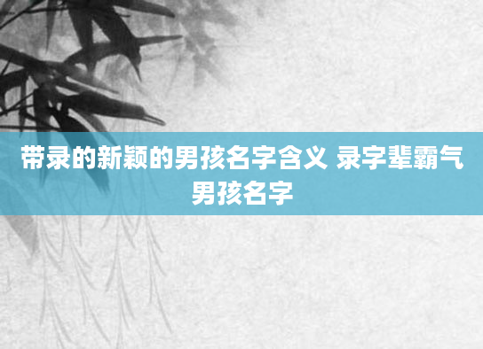 带录的新颖的男孩名字含义 录字辈霸气男孩名字