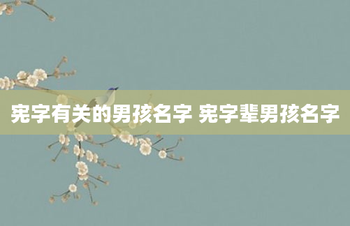 宪字有关的男孩名字 宪字辈男孩名字