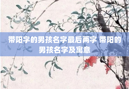 带阳字的男孩名字最后两字 带阳的男孩名字及寓意