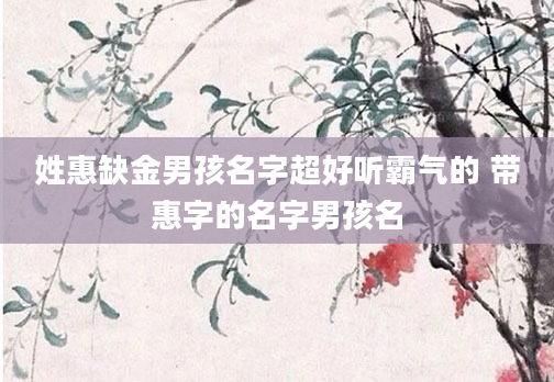 姓惠缺金男孩名字超好听霸气的 带惠字的名字男孩名
