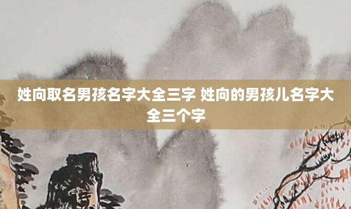 姓向取名男孩名字大全三字 姓向的男孩儿名字大全三个字