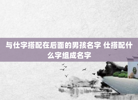 与仕字搭配在后面的男孩名字 仕搭配什么字组成名字