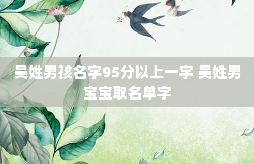 吴姓男孩名字95分以上一字 吴姓男宝宝取名单字