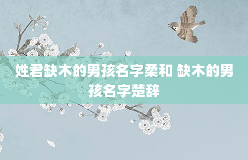 姓君缺木的男孩名字柔和 缺木的男孩名字楚辞