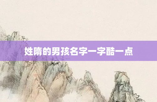 姓隋的男孩名字一字酷一点