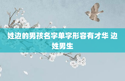 姓边的男孩名字单字形容有才华 边姓男生