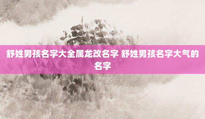 舒姓男孩名字大全属龙改名字 舒姓男孩名字大气的名字