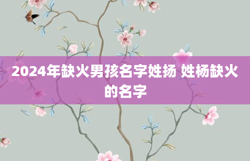 2024年缺火男孩名字姓扬 姓杨缺火的名字