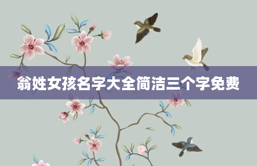 翁姓女孩名字大全简洁三个字免费