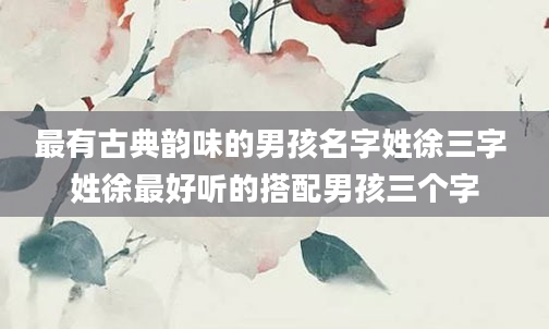 最有古典韵味的男孩名字姓徐三字 姓徐最好听的搭配男孩三个字