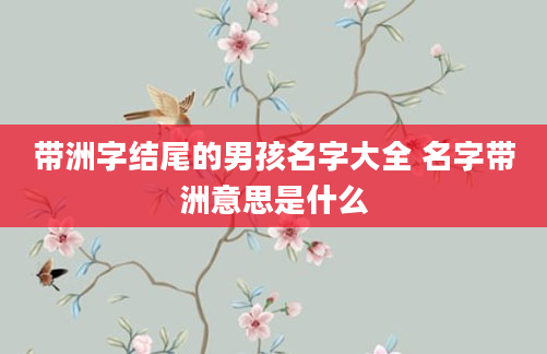 带洲字结尾的男孩名字大全 名字带洲意思是什么