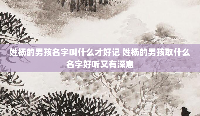 姓杨的男孩名字叫什么才好记 姓杨的男孩取什么名字好听又有深意