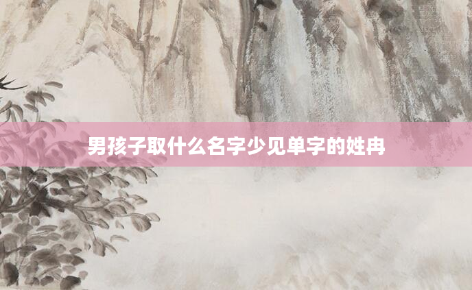 男孩子取什么名字少见单字的姓冉