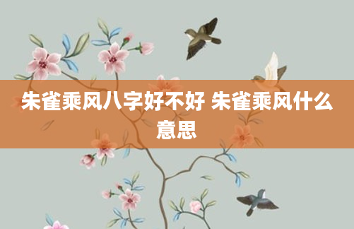 朱雀乘风八字好不好 朱雀乘风什么意思