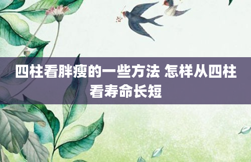 四柱看胖瘦的一些方法 怎样从四柱看寿命长短