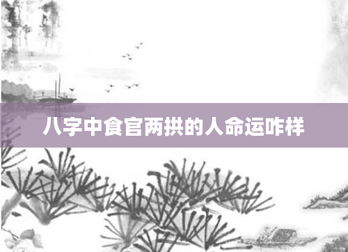 八字中食官两拱的人命运咋样