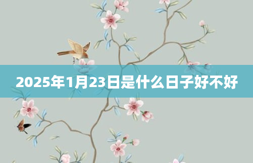 2025年1月23日是什么日子好不好
