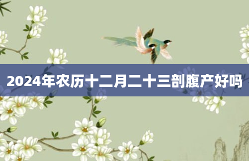 2024年农历十二月二十三剖腹产好吗