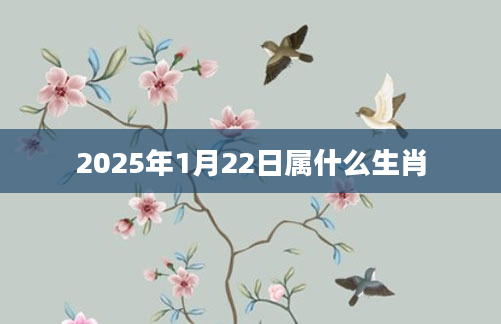 2025年1月22日属什么生肖