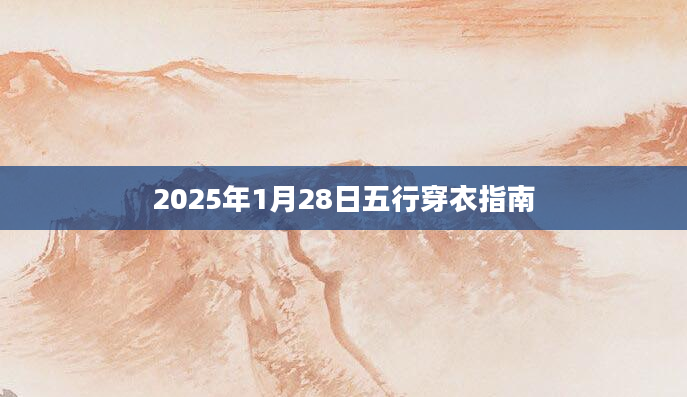 2025年1月28日五行穿衣指南