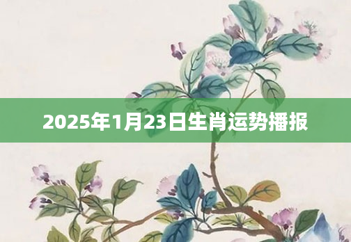 2025年1月23日生肖运势播报