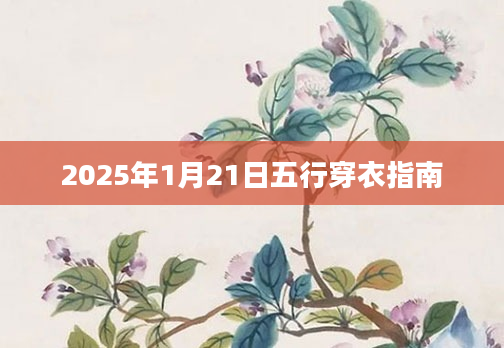 2025年1月21日五行穿衣指南