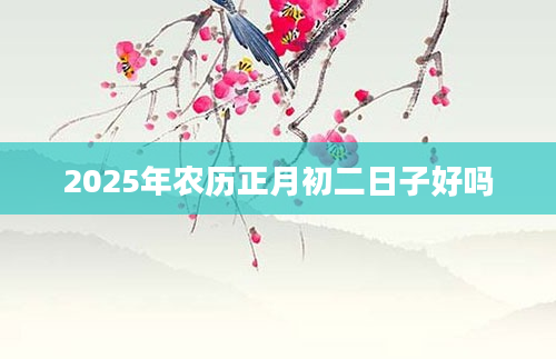 2025年农历正月初二日子好吗