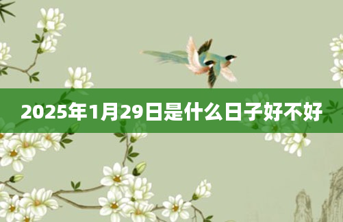 2025年1月29日是什么日子好不好