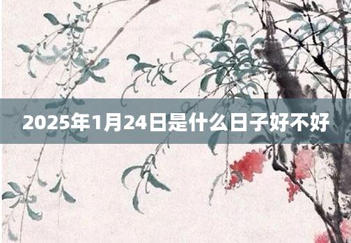 2025年1月24日是什么日子好不好