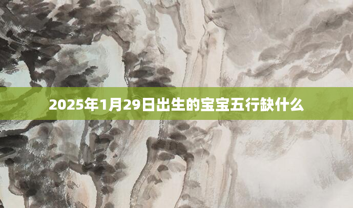 2025年1月29日出生的宝宝五行缺什么