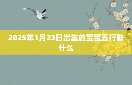2025年1月23日出生的宝宝五行缺什么