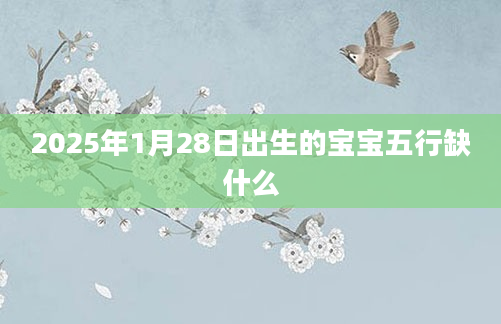2025年1月28日出生的宝宝五行缺什么