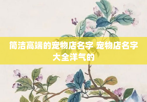 简洁高端的宠物店名字 宠物店名字大全洋气的
