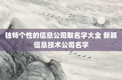 独特个性的信息公司取名字大全 新颖信息技术公司名字