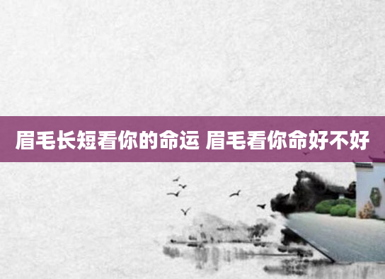 眉毛长短看你的命运 眉毛看你命好不好