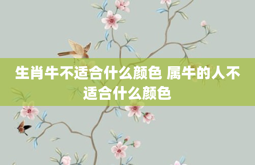生肖牛不适合什么颜色 属牛的人不适合什么颜色