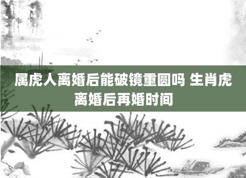 属虎人离婚后能破镜重圆吗 生肖虎离婚后再婚时间