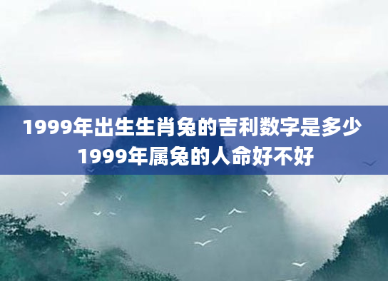 1999年出生生肖兔的吉利数字是多少 1999年属兔的人命好不好