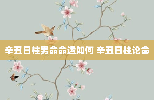 辛丑日柱男命命运如何 辛丑日柱论命