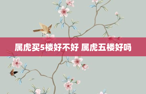 属虎买5楼好不好 属虎五楼好吗
