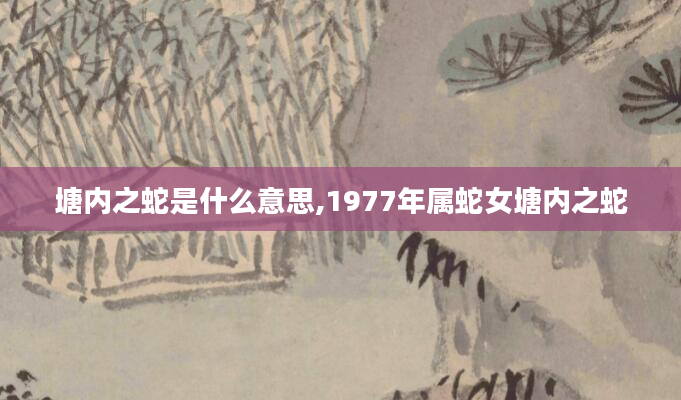 塘内之蛇是什么意思,1977年属蛇女塘内之蛇