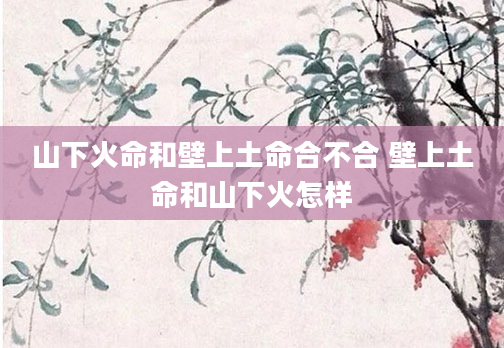 山下火命和壁上土命合不合 壁上土命和山下火怎样