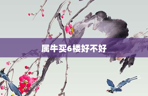 属牛买6楼好不好