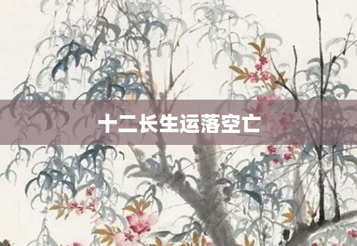十二长生运落空亡