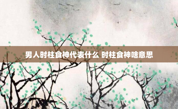 男人时柱食神代表什么 时柱食神啥意思